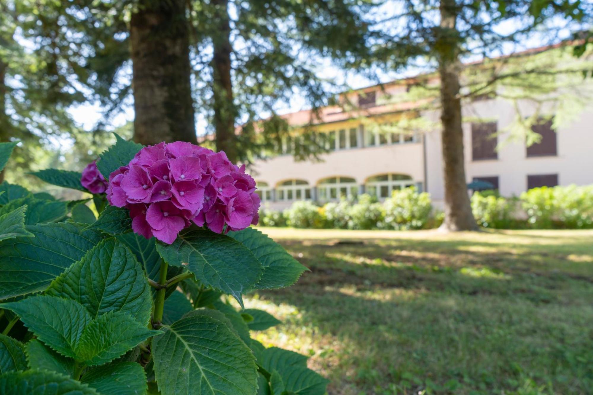 Toscana Wellness Resort Arcidosso Exteriör bild